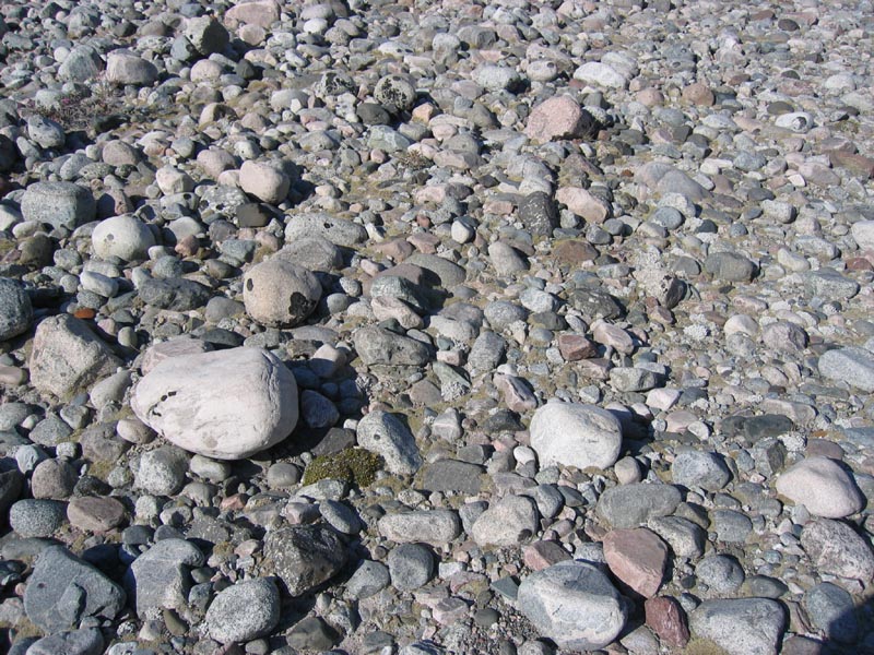 IMG_8026_Steine