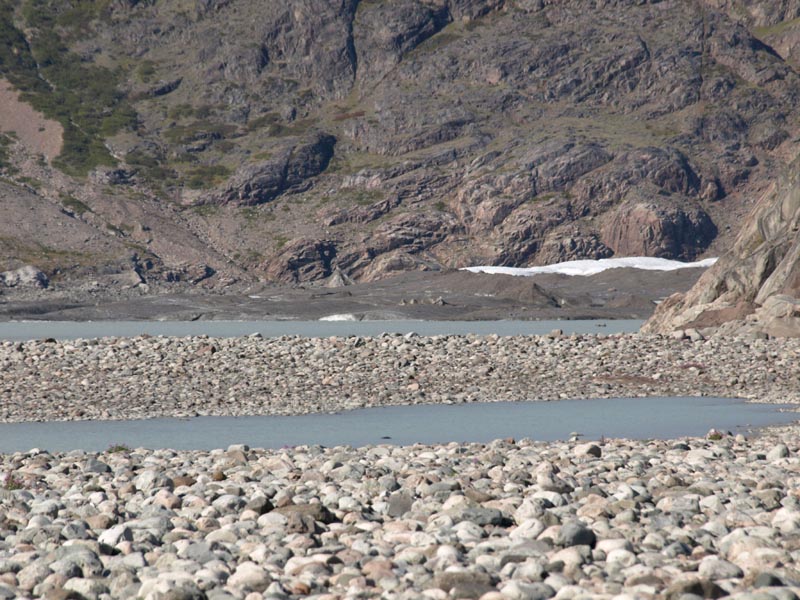 P8114302_Gletscherende_Steine