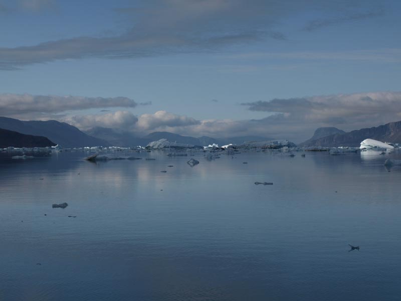 Qaroq_P8114238_ice_ice