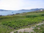 IMG_7878_Agrarschule_Upernaviarsuk