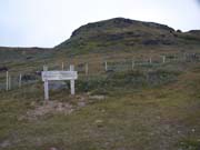 P8104038_Groenlandischer_Wald