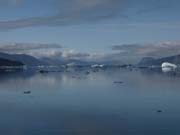 Qaroq_P8114238_ice_ice