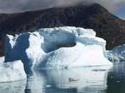 Qaroq_P8114266_Eisberg_Loch