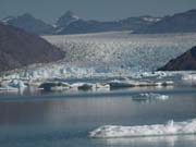 Qarqoq_Gletscher_kalbend_P8114197