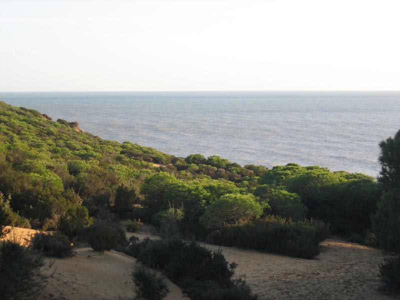 Donana_Nationalpark_1986