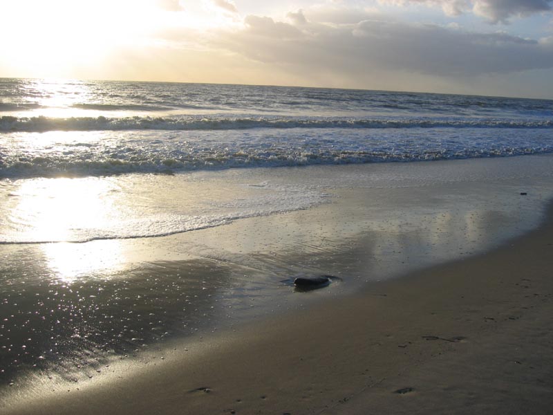 Donana_Nationalpark_1993