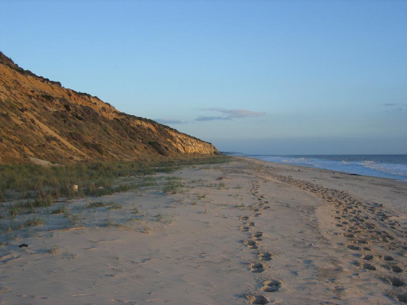 Donana_Nationalpark_2001