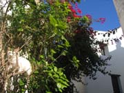 Castellar_de_la_Frontera_1651