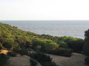 Donana_Nationalpark_1986