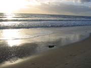 Donana_Nationalpark_1993