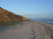 Donana_Nationalpark_2001