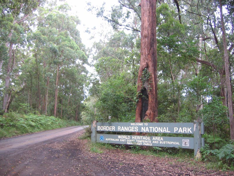 IMG_6427_Border_Ranges_NP