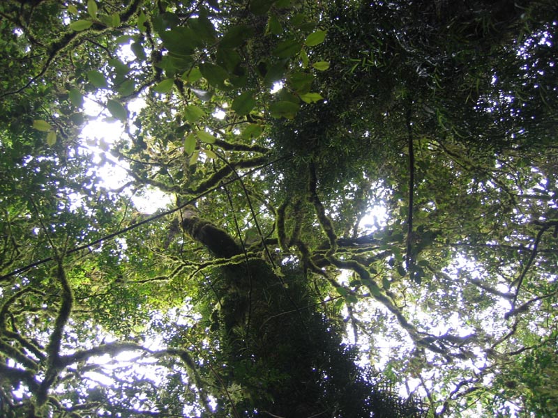 IMG_6431_Bar_Mountain_NP