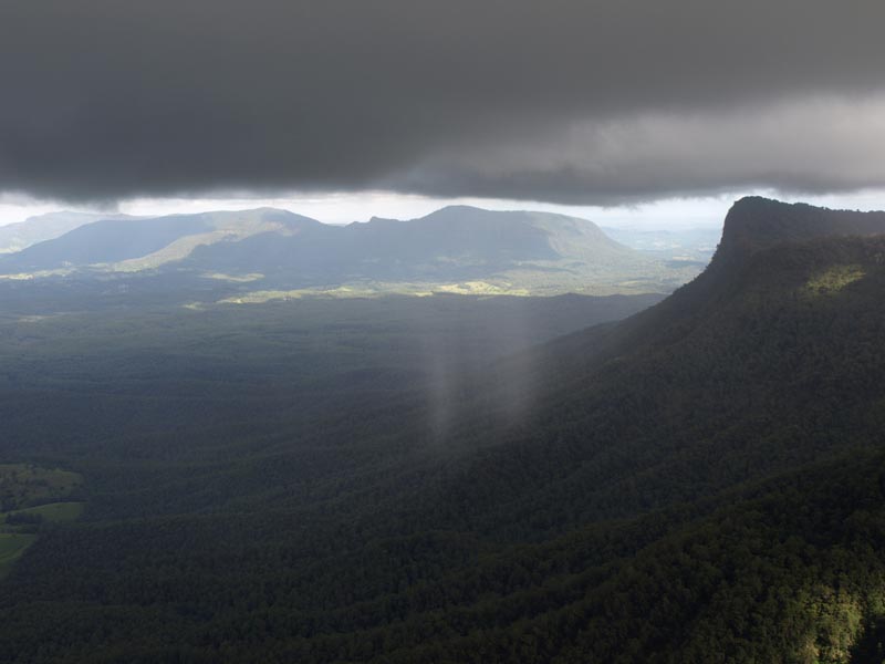 P3231420_Regenwaelder_Regen