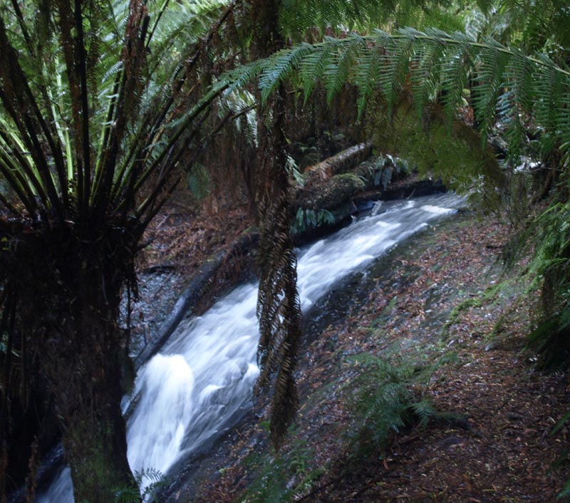 P4052152_P4052147_Great_Ocean_Road_Cape_Otway_NP_Wasserfall