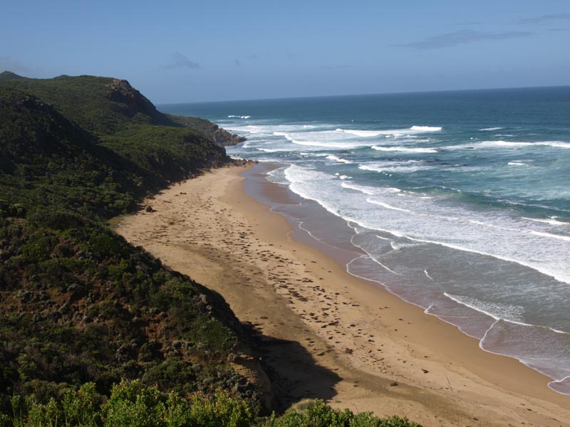 P4052164Great_Ocean_Road_Cape_Otway_NP_Strand
