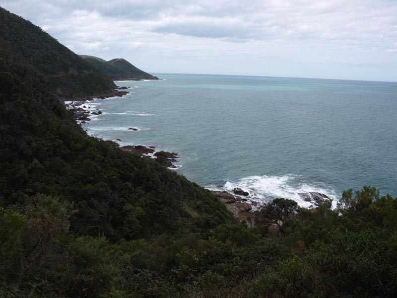 P4052209Great_Ocean_Road_Kuestenstrasse