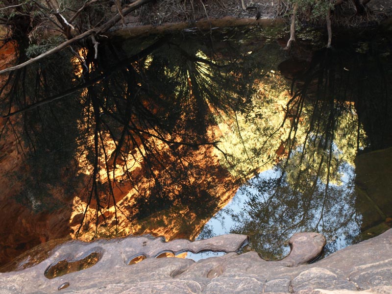 P4092507_Garden_of_Eden__Kings_Canyon