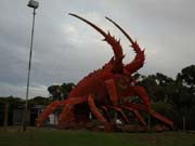 P4011923_Lobster
