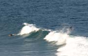 P4052238_Surfer_Torquay