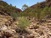 P4082338_Redbank_Gorge