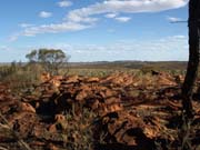 P4082375_Blick_auf_Kings_Canyon