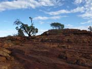 P4092481_Kings_Canyon