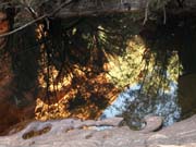 P4092507_Garden_of_Eden__Kings_Canyon