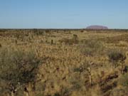P4092570_Uluru_in_der_Savanne