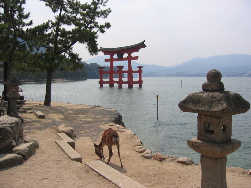 5116_Torii_Itukushima_Schrein