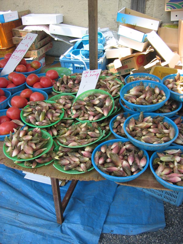 5252_Markt_im_Toji_Tempel