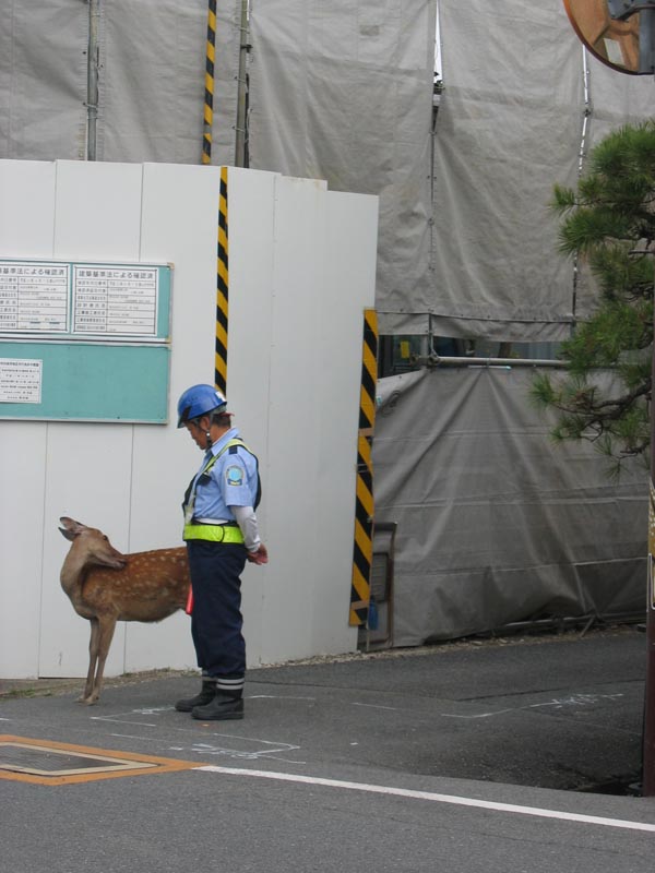 5468_Hirsche_Bauarbeiter