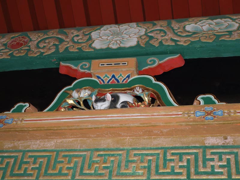 8290033_Schlafende_Katze