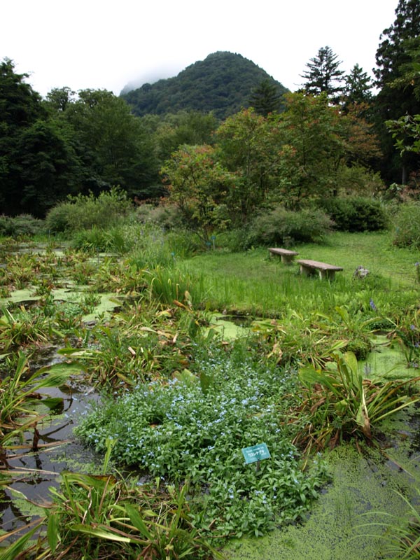 8290062_Botanischer_Garten