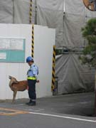 5468_Hirsche_Bauarbeiter