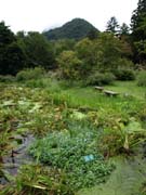 8290062_Botanischer_Garten