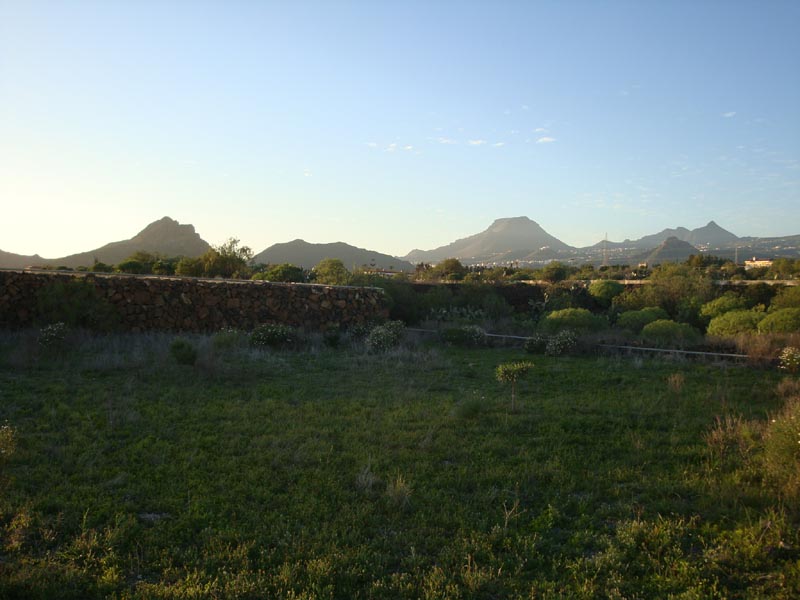 DSC00211_Teneriffa_der_Sueden