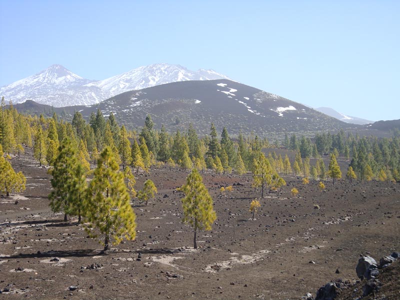 DSC00239_teide